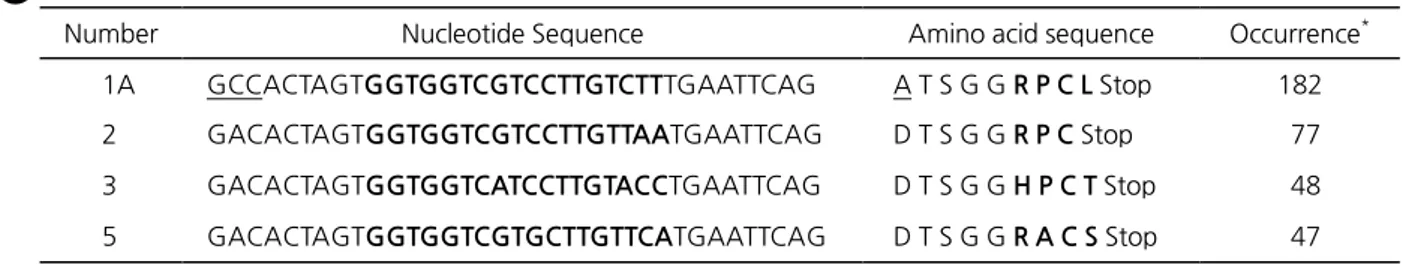 Figure 2. Cys mutants. (A) Sequence of the Cys mutants. Nucleotide and amino acid sequences of Cys mutants are shown