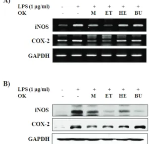 Fig.  5.  Effects  of  the  methanol  extract  of  Ostericum  koreanum  and  its  fractions  on  the  expressions  of  iNOS  and  COX-2  in  LPS-stimulated  of  RAW264.7  cells Cells  were  treated  with  different  concentrations  of  the  methanol  extra