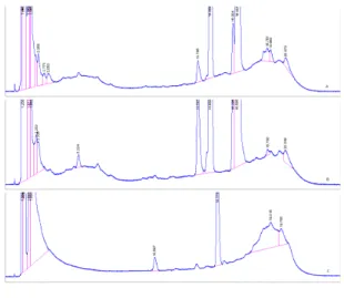Fig. 19. HPLC chromatogram of Machilus thunbergii