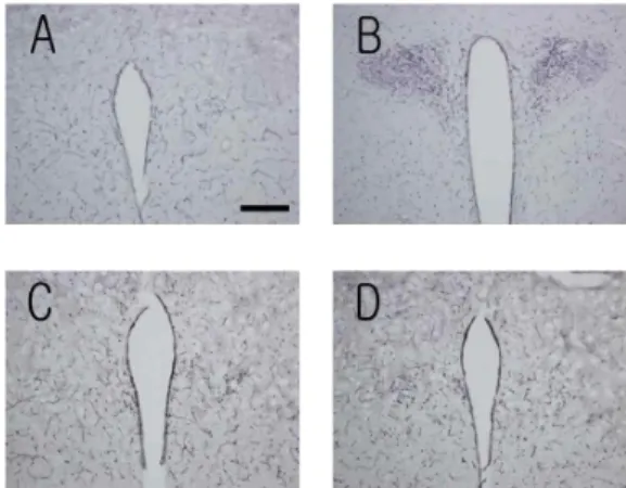 Fig. 6. Expression of HSP70-immunoreactive cells in the PVN Normal : No treatment.