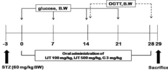 Fig. 1. Experimental design for STZ-induced diabetic rats