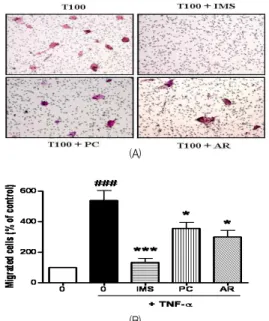 Fig. 1. Effect of IMS, PC and AR on the cell viability of HASMC