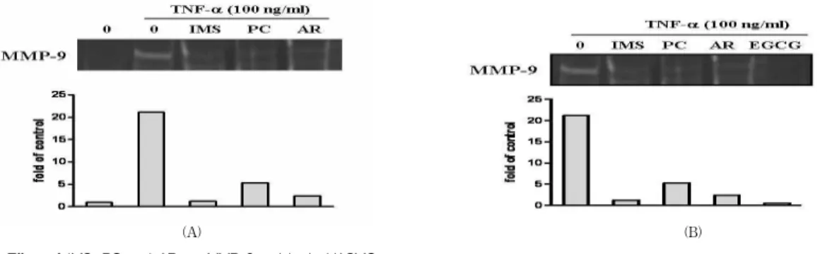 Fig. 4. Effect of IMS, PC and AR on MMP-2 activity in HASMC