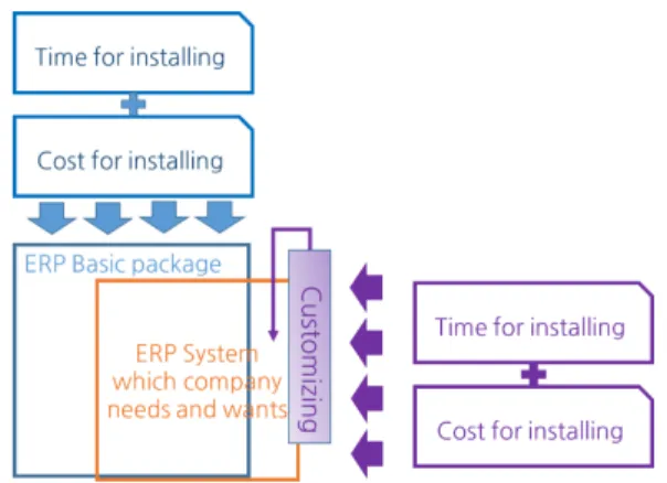 Figure 1. ERP Package System and ERP Customizing