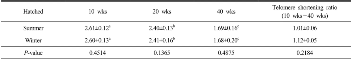 Table  5.  Comparison  of  the  expression  level  of  HSP-70  gene  of  hatched  chickens  in  summer  and  winter