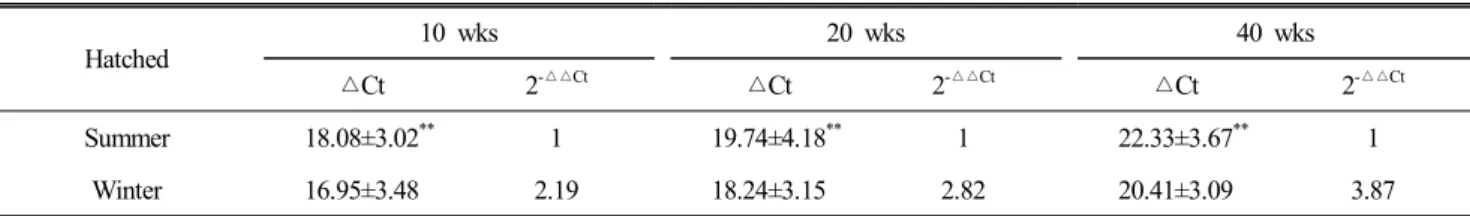 Table  7.  Comparison  of  the  expression  level  of  HSP-90β  gene  of  hatched  chickens  in  summer  and  winter 