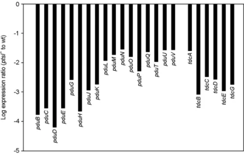 Figure 4. The fold change for the flagella and chemotaxis genes. Bars represent the expression ratio (ptsI -  to wt) for each gene, which  was derived from the log 2 -transformed microarray hybridization results