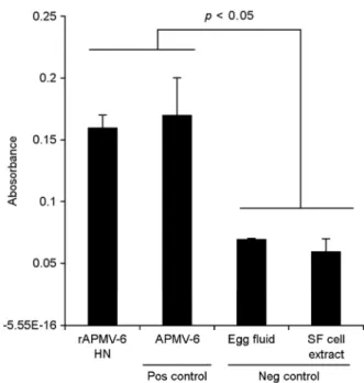 Figure  4.  Measurement  of  NA  activity  of  the  rAPMV-6  HN  protein expressed in insect cells