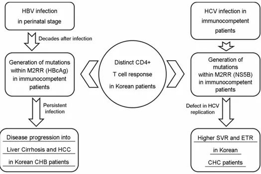 Figure 3. The presence of distinct CD4 T cell response in Korean patients may lead to opposite clinical outcomes in CHB and  CHC Korean patients
