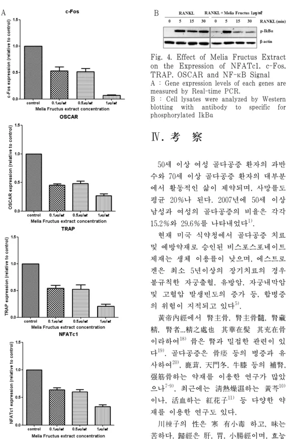 Fig. 4. Effect of Melia Fructus Extract  on  the  Expression  of  NFATc1,  c-Fos,  TRAP, OSCAR and NF-κB Signal A : Gene expression levels of each genes are  measured by Real-time PCR
