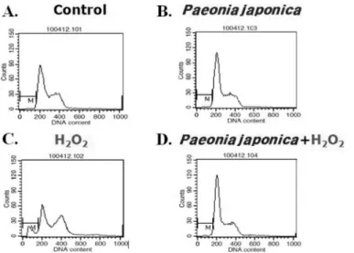 Fig.  5. Effect  of  PJE Treatment on  Cell Cycle  Progression in  Oxidative Damaged  MEF Cells.