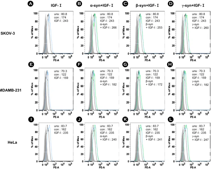 Figure 6. The recombinant synucleins and IGF-I induced the expression of  MT1-MMP. For investigation of  the expression of  MT1- MT1-MMP, FACS analysis was accomplished