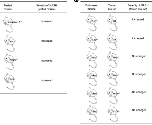 Figure 2. Summary of the severity of  NASH, as determined by ALT and AST, as well as of the NAFLD activity score determined by  histological scores for steatosis and inflammation