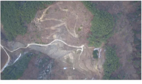 Figure 1. Study site