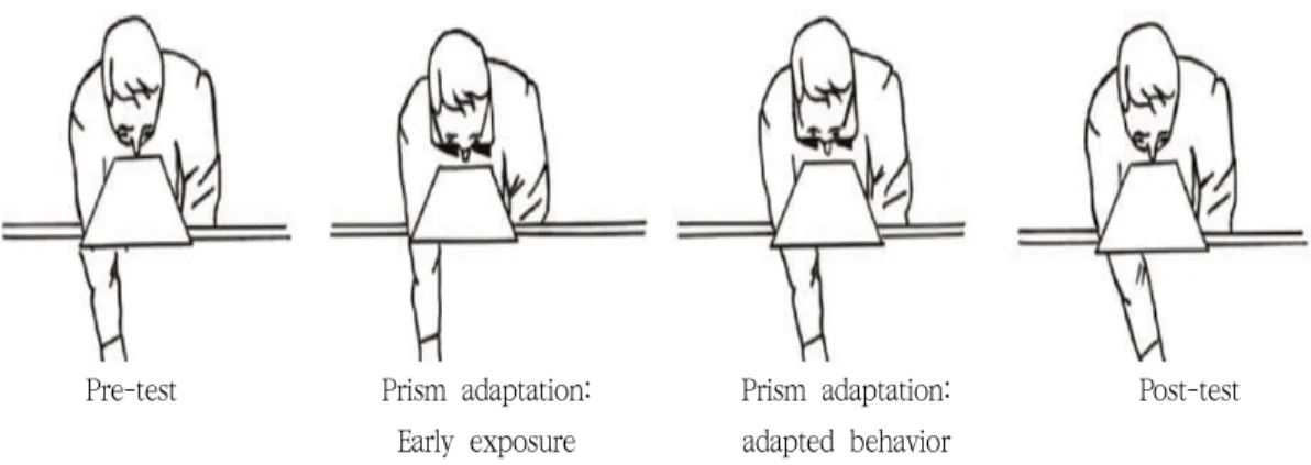 Figure 1. prism adaptation(Pisella et al., 2006)