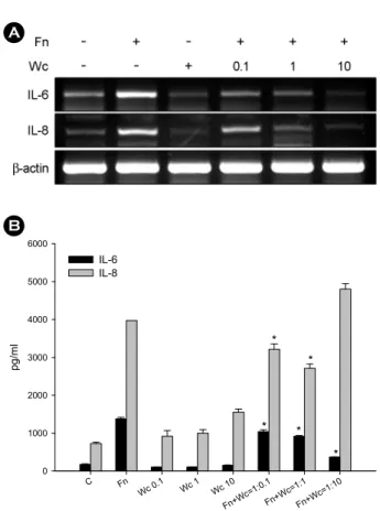 Figure 1. Dose responses of  W. cibaria on F. nucleatum-induced IL-6 and IL-8 production in KB cells