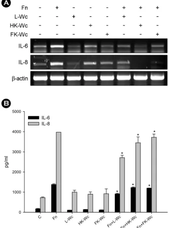 Figure 2. Effects of live and killed W. cibaria on F. nucleatum- nucleatum-induced IL-6 and IL-8 production in KB cells