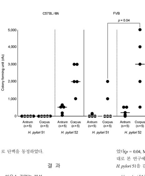 Figure 1. Mouse colonization abilities  of  H. pylori 51 and 52. Mice were  in-oculated with H