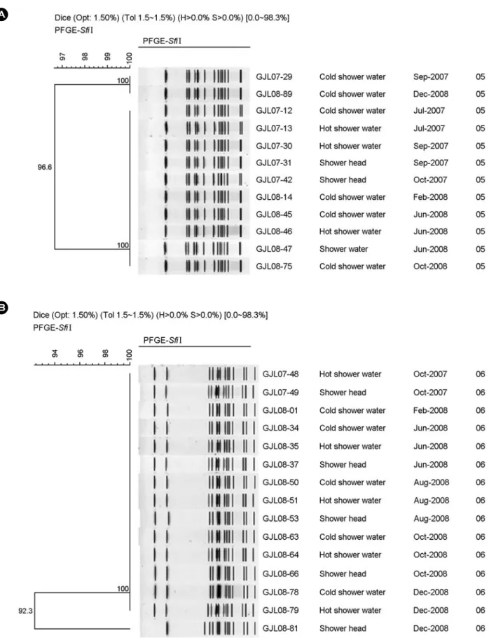 Figure 2. Analysis of  PFGE of  L. pneumophila sg 5 (A) and L. pneumophila sg 6 (B) isolates derived from 2 sentinel public baths,  respectively