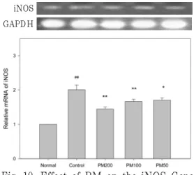 Fig. 9. Effect of PM on the NF-κB Gene  Expression  of  UVB-irradiated  HaCaT  Keratinocytes