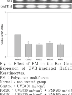 Fig. 5. Effect of PM on the Bax Gene  Expression  of  UVB-irradiated  HaCaT  Keratinocytes.