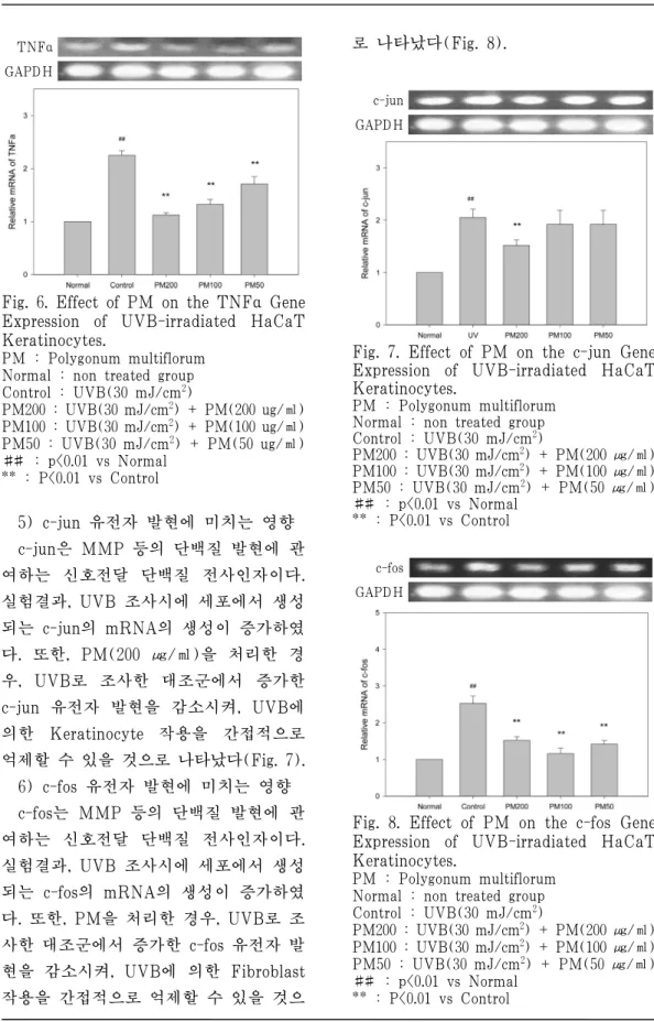 Fig. 6. Effect of PM on the TNFα  Gene  Expression  of  UVB-irradiated  HaCaT  Keratinocytes