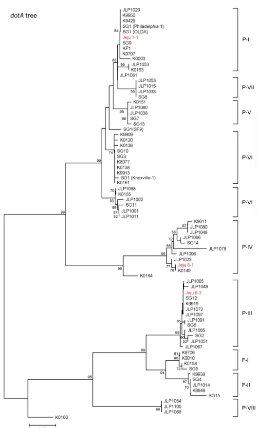 Figure 2. Neighbour-joining trees inferred from (A) the rpoB and (B) the dotA sequences of L