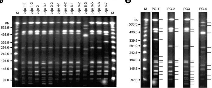 Figure 3. PFGE patterns of  SfiI-cleaved genomic DNAs from L. pneumophila Jeju isolates (A) and their schematic four band patterns  (PG1 to PG4) (B)