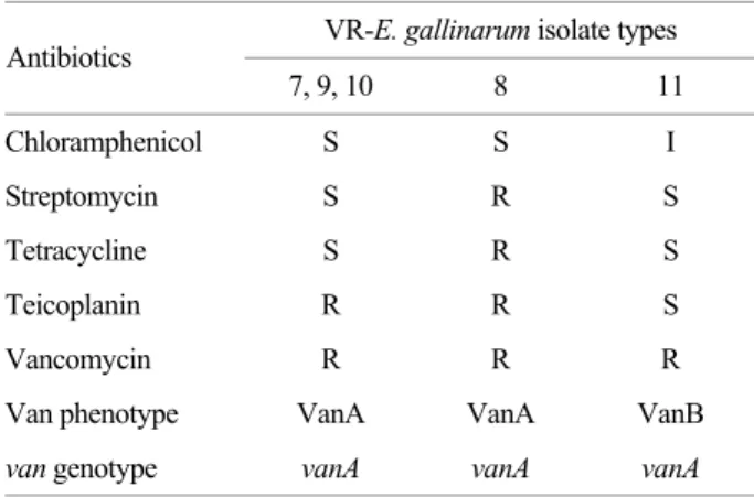 Table 3. Difference of  antimicrobial susceptibility among five  isolated VR-E. gallinarum 