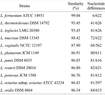 Figure 4. Nucleotide sequence of  the partially amplified 16S rDNA gene from LAB 1 by PCR