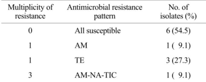 Table 6. Antimicrobial resistance pattern of  STEC isolated from  cattle 