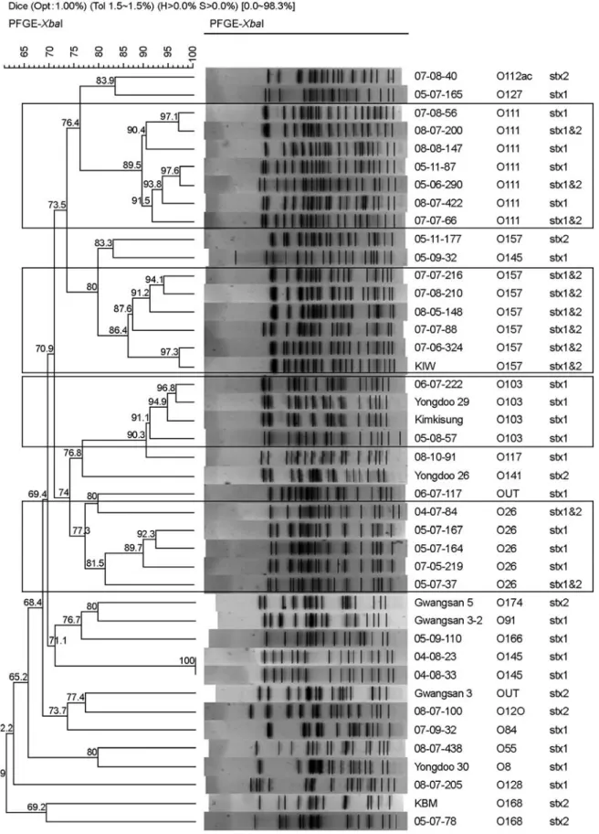 Figure 3. Dendrogram of  XbaI-digested PFGE profiles of  the STEC isolates from diarrheagenic patients