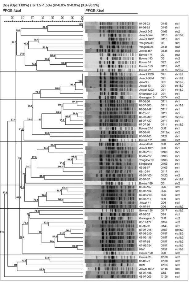 Figure 4. Dendrogram of  XbaI PFGE banding pattern of  each of  the 67 STEC strains clustered by MPGMA using the Dice coefficient  in Bionumerics version 5.0