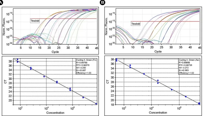 Figure 1. Amplification of genomic DNA from lysed cells. Serial dilutions of genomic DNA from F