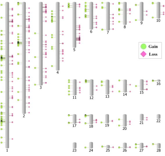 Fig.  1.  Distribution  of  CNVs  across  the  genome.