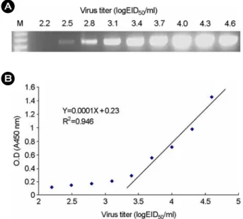 Figure 1. Quantitative titration of  IBDV D67 strain by DAS ELISA (B) and comparison with RT-PCR assay (A)