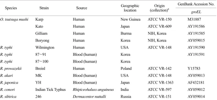Table 1. Rickettsial strains used in this study 