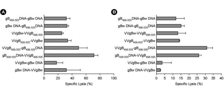 Figure 4. In vivo CTL killing activity of  C57BL/6 mice immunized with prime-boost protocols using recombinant vaccinia virus  (VVgB 498-505 ) and DNA vaccine (gB 498-505 ) expressing gB 498-505  epitope peptide at priming and boosting