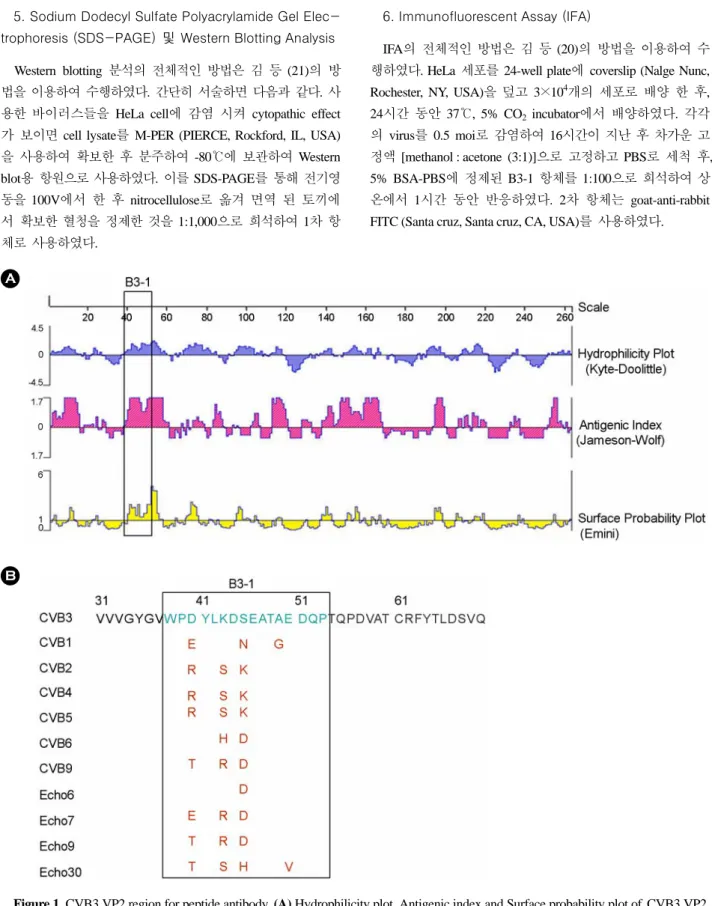 Figure 1. CVB3 VP2 region for peptide antibody. (A) Hydrophilicity plot, Antigenic index and Surface probability plot of  CVB3 VP2