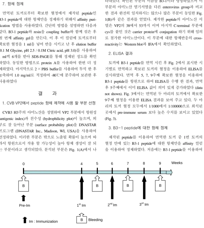 Figure 2. Immunization schedule for developing CVB VP2 peptide antibody. 