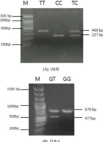 Fig.  2.  SNP  variation  in  iNOS  and  TLR-4  gene  visualized  by  1.5%  agarose  gel