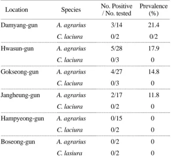 Table 4. Positivity of  Hantaviral RNA amplication from lung tissues of  A. agrarius by RT-PCR 
