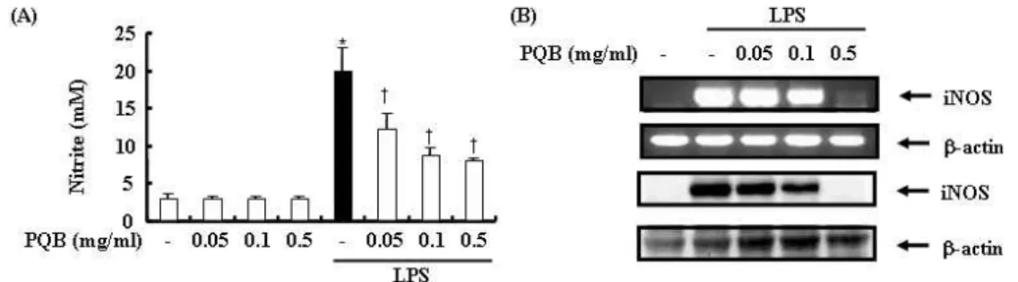 Fig. 2. The inhibitory effect of PL extract on LPS-induced NO production.