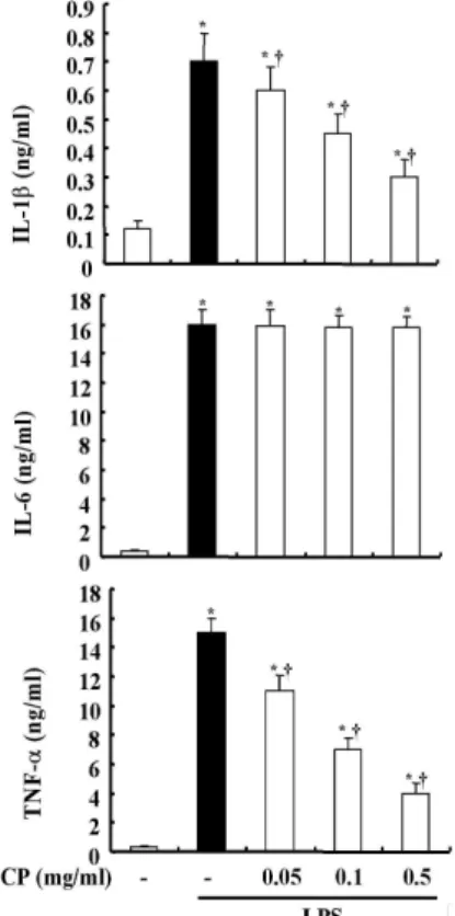 Fig. 3. Effect of CP on the Productions of IL-1b, IL-6 and TNF-a on RAW 264.7 cells.