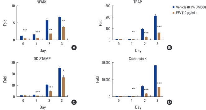 Fig. 3. Effects of the extracts of Flavoparmelia sp. (EFV) on receptor activator of nuclear factor-κB ligand (RANKL)-mediated mRNA expressions of  nuclear factor of activated T cells 1 (NFATc1)