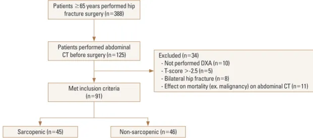 Fig. 1. Flow chart presenting the study subjects. CT, computed tomography; DXA, dual energy X-ray absorptiometry.