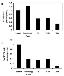 Fig. 9. The Effect of Samultang-Gami extracts on Bax, Bcl-2, p53 and PARP-1 in HepG2 cells.