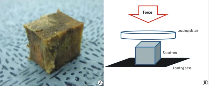 Fig. 1. (A) All specimens were cut off (approximately 15×10×15 mm 3 ) in the shape of a cube and (B) were compressed under one-loaded platen  rods on an axial compression testing machine in displacement control.