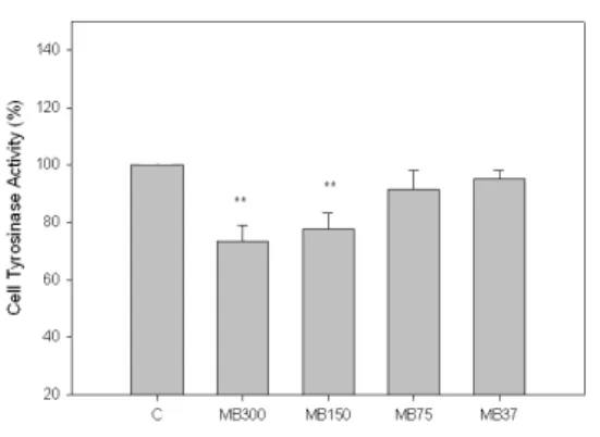 Fig. 4. Effects of MB on tyrosinase activity in B16F10 melanoma cells.