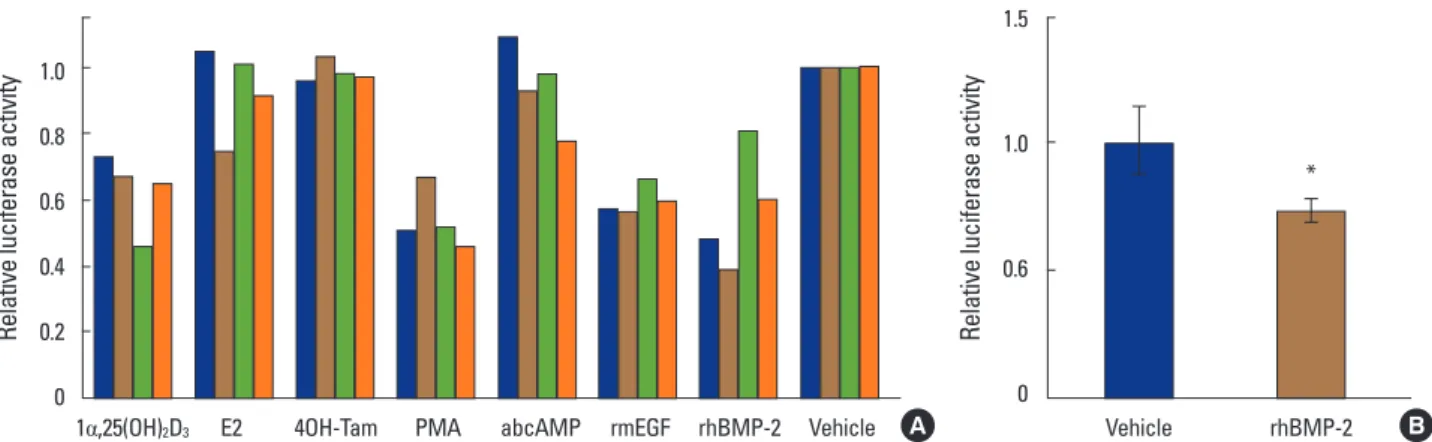 Fig. 2. Bone morphogenetic protein-2 downregulates a reporter activity driven by mouse estrogen receptor1 gene promoter in MC3T3-E1 cells